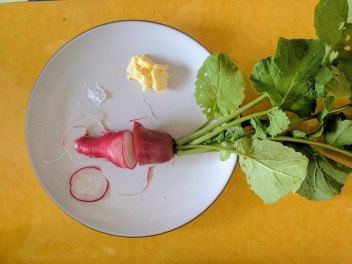 Scarlet Radish with butter and salt-- delicious!